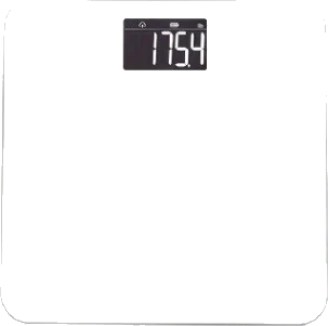 Weight scale